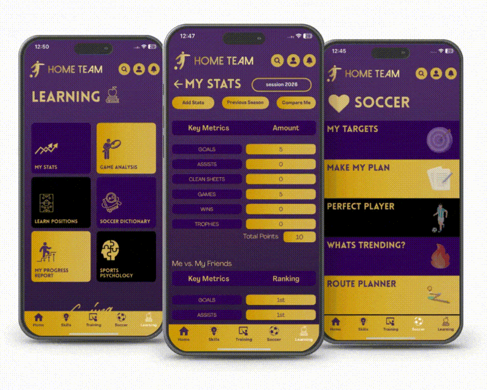 home-team-overview